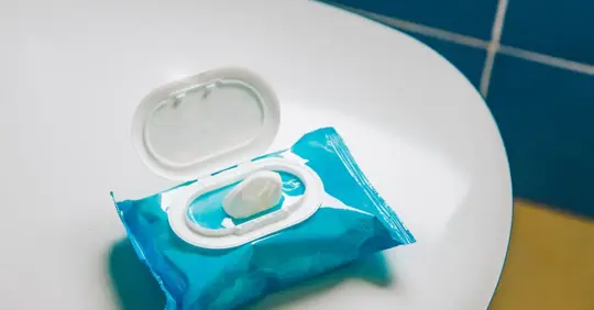 flushable wipes